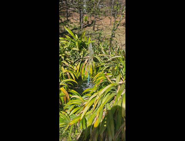 200HA FARM FOR SALE IN PRIMINDIA